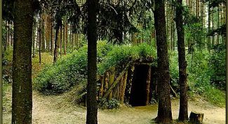 Картинка по теме - как сделать землянку