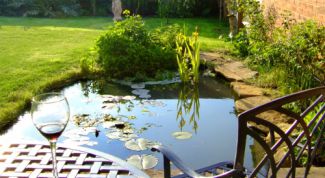 Картинка по теме - как сделать пруд на даче своими руками