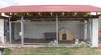 Картинка по теме - как построить вольер для собаки