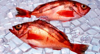 Картинка по теме - как приготовить рыбный суп