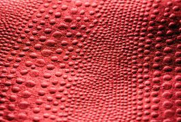 Картинка по теме - как погладить кожу