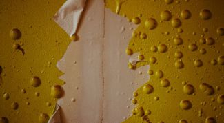 Картинка по теме - как отклеить обои