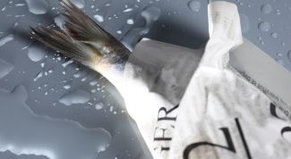 Картинка по теме - как разводить форель?