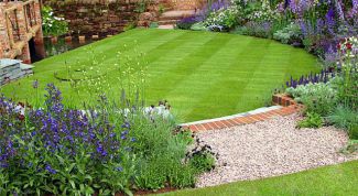 Картинка по теме - как посадить газон