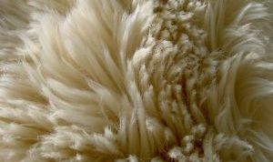 Картинка по теме - как почистить белый мех в домашних условиях