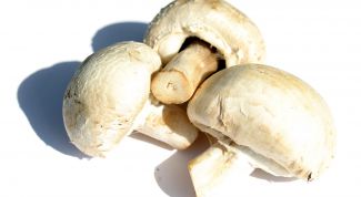 Картинка по теме - как обработать шампиньоны