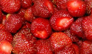 Картинка по теме - как выращивать клубнику в домашних условиях