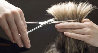Картинка по теме - как самостоятельно подстричь волосы
