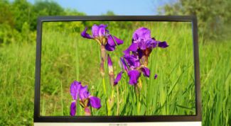 Картинка по теме - как поставить видео на рабочий стол