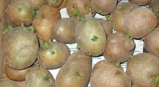 Картинка по теме - как прорастить картошку