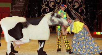 Картинка по теме - как заказать билет в цирк