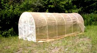Картинка по теме - как построить правильно теплицу