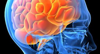 Картинка по теме - как разогнать свой мозг