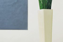 Картинка по теме - как посадить бамбук