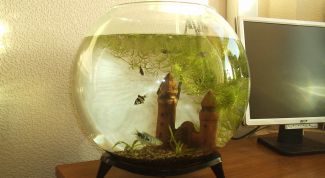 Картинка по теме - как повысить влажность воздуха в квартире