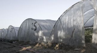 Картинка по теме - как построить парник самому