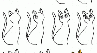 Картинка по теме - как рисовать кошек поэтапно
