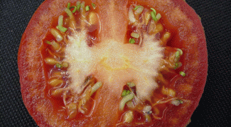 Картинка по теме - как получить семена