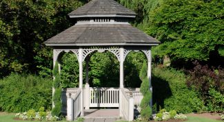 Картинка по теме - как посеять траву