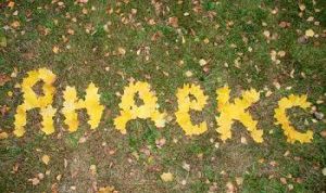 Картинка по теме - как очистить историю в яндексе