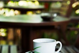 Картинка по теме - как подключиться к бесплатному интернету