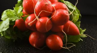 Картинка по теме - как сажать редис