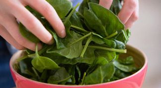 Картинка по теме - как приготовить шпинат