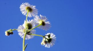 Картинка по теме - как изменить цветовую схему