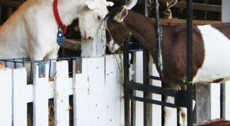 Картинка по теме - как построить хлев