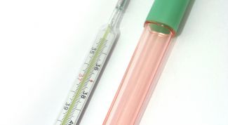 Картинка по теме - как померить температуру собаке