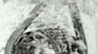 Картинка по теме - как посадить вещь