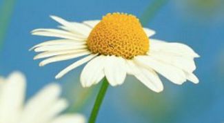 Картинка по теме - как справиться с болями