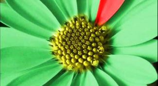 Картинка по теме - как подключить icq на компьютере