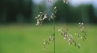 Картинка по теме - как увеличить чувствительность