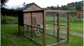 Картинка по теме - как построить курятник на даче