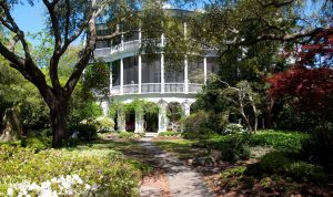 Картинка по теме - как приватизировать садовый участок?