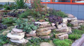 Картинка по теме - как украсить палисадник