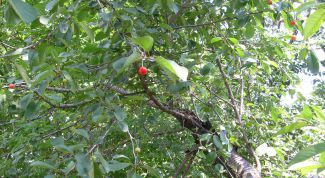 Картинка по теме - как ценить жизнь