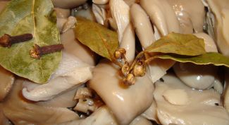 Картинка по теме - как замариновать вешенку