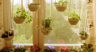 Картинка по теме - как вывести из цветов мошек