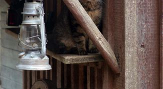 Картинка по теме - как зажечь керосиновую лампу