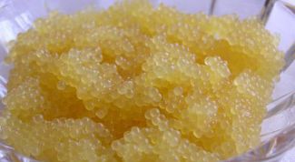 Картинка по теме - как солить икру из щуки