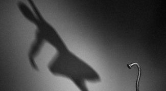 Картинка по теме - как строить жизнь