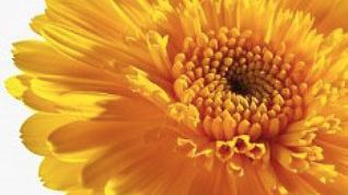 Картинка по теме - как избежать инсульта 