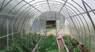 Картинка по теме - как построить теплицу с отоплением