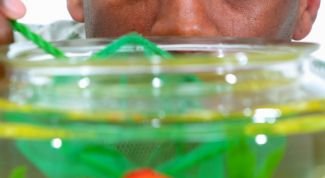 Картинка по теме - как поставить аквариум