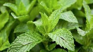 Картинка по теме - как вывести из алкогольного опьянения