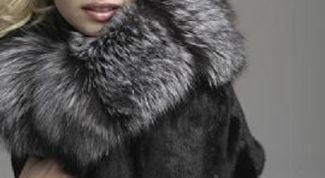 Картинка по теме - как почистить меховой воротник