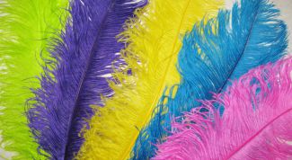 Картинка по теме - как покрасить перья