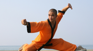 Картинка по теме - как научиться кунг-фу